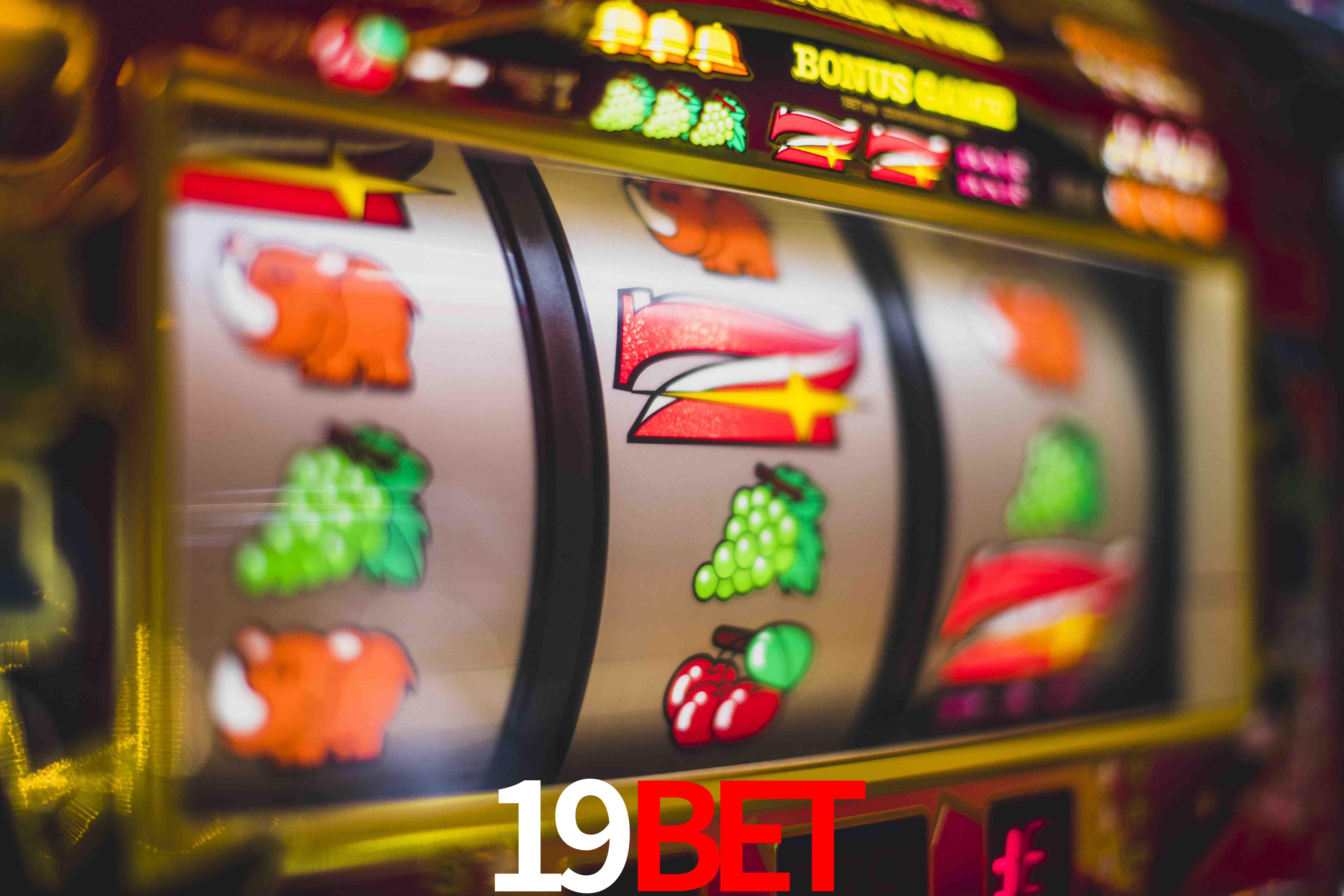 Live Casino 19BET